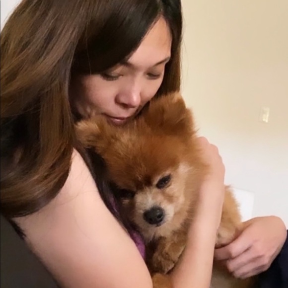 Meet your Posher, Romy - Picture 2 of 3